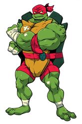  abs alligator_snapping_turtle anthro band-aid bandage bandana belt biceps flexing hi_res kerchief male muscular muscular_anthro muscular_male pecs rackun raphael_(rottmnt) raphael_(tmnt) reptile rise_of_the_teenage_mutant_ninja_turtles scalie shell snapping_turtle solo teenage_mutant_ninja_turtles turtle 