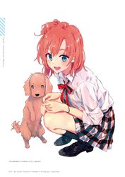  ponkan_8 tagme yahari_ore_no_seishun_lovecome_wa_machigatteiru. 