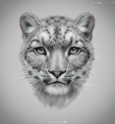  2022 ambiguous_gender artist_name detailed digital_media_(artwork) etskuni felid feline feral greyscale headshot_portrait hi_res mammal monochrome pantherine portrait shaded smile snow_leopard solo whiskers 