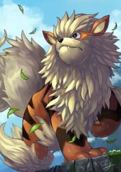  arcanine commentary_request day fangs highres leaf no_humans outdoors pokemon pokemon_(creature) smile tesshii_(riza4828) 