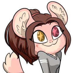  :3 alpha_channel anthro brown_hair chinchilla chinchillid cinnamon_(sinamuna) clothing female hair heterochromia long_hair mammal ponytail pupils rodent smile solo star_pupils starrtoon sweater symbol-shaped_pupils tattoo topwear unusual_pupils 