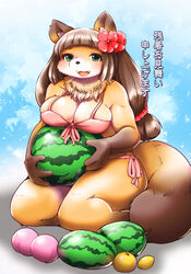  beach bra brown_hair comiket_88 female furry gradient gradient_background hikimayu japanese_text long_hair raccoon racoon setouchi_kurage sky solo summer translation_request underwear 