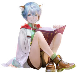  1boy animal_ears blue_eyes blue_hair boots cat_ears commentary_request legs leon_geeste male_focus noako pointy_ears smile solo star_ocean star_ocean_the_second_story 