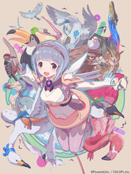  :d alice_gear_aegis arms_at_sides bird blue-footed_booby blue_eyes blunt_bangs commentary_request common_kingfisher company_name copyright_notice dodo_(bird) eagle emperor_penguin female flamingo full_body fumishima_asuka grey_hair headband kakoi_kazuhiko kingfisher looking_at_viewer open_mouth outstretched_arms owl parrot pelican penguin pipi_(aga) purple_hair short_hair sidelocks simple_background smile swallow_(bird) toucan woodpecker 