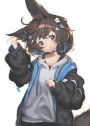  animal_ear_fluff animal_ears arm_up black_jacket black_skirt blue_flower blue_hair blush brown_eyes brown_hair commentary_request drawstring female flower grey_hoodie hair_between_eyes hair_flower hair_ornament head_tilt highres hood hood_down hoodie jacket komadori_ui leaf leaf_on_head long_sleeves multicolored_hair open_clothes open_jacket original pleated_skirt puffy_long_sleeves puffy_sleeves simple_background skirt sleeves_past_wrists solo tail two-tone_hair white_background white_flower 