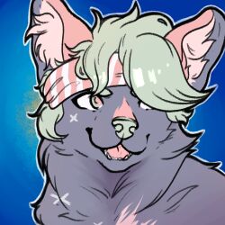  1:1 ambiguous_gender blue_background canid cheek_tuft facial_tuft feral fur green_eyes green_hair green_nose grey_body grey_fur hair inner_ear_fluff lionfloof mammal open_mouth pink_ears pink_inner_ear_fluff pink_tongue simple_background solo tongue tuft 