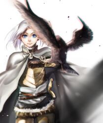  1boy armor arslan arslan_senki bird blue_eyes cape commentary highres long_hair noahxica white_hair 