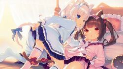  2girls animal_ear_fluff animal_ears bed black_hair blue_bow blue_dress blue_eyes blush bow cat_ears cat_girl cat_tail chocola_(nekopara) commentary_request cowgirl_position dress end_card frilled_dress frilled_panties frilled_pillow frills hairband hairbow henreader highres jpeg_artifacts kneehighs long_hair looking_at_viewer looking_back lying multiple_girls nekopara no_shoes on_back on_bed panties parted_lips pillow pink_bow pink_dress pink_legwear red_bow red_eyes socks soles tail tail_bow tail_ornament twintails underwear vanilla_(nekopara) very_long_hair white_hair white_hairband white_legwear white_panties 