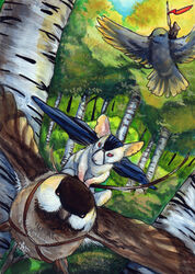  acrylic_painting_(artwork) ambiguous_gender anthro aspen_tree avian bird black_cloak black_clothing brown_body brown_feathers brown_fur cadmiumtea chasing cloak cloak_only clothing columbid feathers feral flag flag_(object) flying forest fur grey_body grey_feathers group holding_flag holding_object mammal melee_weapon mouse mouse_guard murid murine painting_(artwork) pigeon plant polearm rat red_eyes riding rodent spear traditional_media_(artwork) tree weapon white_body white_fur 