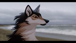  2023 astarcis beach black_bars black_body black_fur black_nose blurred_background brown_body brown_fur brown_sclera canid canine canis cloud detailed detailed_background female feral fur hi_res letterbox mammal prick_ears sand sea seaside signature sky solo water wolf 