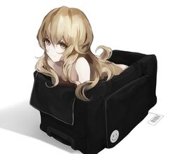  bad_id bad_pixiv_id bag barcode black_bag blonde_hair brown_eyes closed_mouth commentary female gyup hair_between_eyes in_bag in_container long_hair looking_at_viewer nude original revision shadow simple_background smile solo symbol-only_commentary tareme white_background 