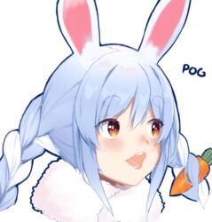  animal_ear_fluff animal_ears blue_hair blush braid carrot carrot_hair_ornament commentary_request female food-themed_hair_ornament hair_ornament hololive long_hair meme open_mouth parody pogchamp_(meme) rabbit_ears rabbit_girl short_eyebrows solo teriibol thick_eyebrows twin_braids twitch.tv usada_pekora usada_pekora_(1st_costume) virtual_youtuber white_background 