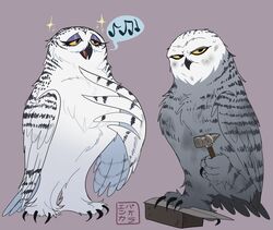  avian bird brunwella_plonk_(gogh) claws duo eyeshadow feathers female feral guardians_of_ga&#039;hoole hammer horned_owl kabuki-aku makeup owl sibling_(lore) simple_background singing sister_(lore) sisters_(lore) snowy_owl thora_plonk_(gogh) toe_claws tools true_owl white_body white_feathers yellow_eyes 