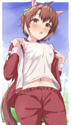  ahoge animal_ears breasts brown_eyes brown_hair commentary dantsu_flame_(umamusume) female from_below gym_shirt gym_uniform highres horse_ears horse_girl horse_tail jacket large_breasts looking_at_viewer medium_hair midriff multicolored_hair navel open_clothes open_jacket open_mouth pants red_pants shirt solo tail tracen_training_uniform track_jacket track_pants triangle_(zztg3775) two-tone_hair umamusume white_hair 