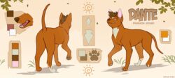  adelar_elric all_fours ambiguous_feral ambiguous_gender black_nose canid canine canis domestic_dog feral hi_res mammal model_sheet orange_body pharaoh_hound primitive_dog raised_tail rear_view side_view solo tail 