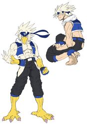  accipitrid accipitriform aquila_(bandanabird) avian bandana bandanabird beak bird clothing eagle feet hi_res human humanoid kerchief legwear male mammal muscular muscular_male source_request tagme talons toes unavailable_at_source yellow_beak 