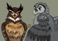  aegolius avian bird boreal_owl brown_body brown_feathers duo feathers female feral grey_body grey_feathers grimble_(gogh) guardians_of_ga&#039;hoole hi_res horned_owl kabuki-aku male owl simple_background skench_(gogh) true_owl yellow_eyes 