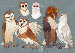  armor avian barn_owl bird black_eyes brother_(lore) brother_and_sister_(lore) brown_body brown_feathers claws eglantine_(gogh) feathers female feral group guardians_of_ga&#039;hoole headgear helmet kabuki-aku kludd male metal_beak nyra_(gogh) owl sibling_(lore) simple_background sister_(lore) soren_(gogh) toe_claws tyto tytonid white_body white_feathers 