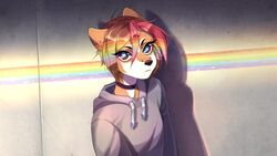  16:9 2018 anthro blue_pupils brown_eyes brown_hair canid canine canis choker clothing domestic_dog facial_piercing female fur furgonomics furry-specific_piercing grey_body grey_clothing grey_fur grey_hoodie grey_topwear grey_wall hair hoodie jewelry looking_at_viewer mammal muzzle_piercing necklace nose_piercing orange_body orange_fur piercing pupils rainbow red_hair rokito solo topwear wall_(structure) widescreen 