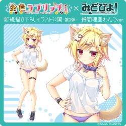  absurdres animal_collar animal_ear_fluff animal_ears ass_visible_through_thighs bikini bikini_under_clothes black_shoes blonde_hair blush breasts closed_mouth collar collarbone colored_eyelashes commentary_request copyright_notice crescent crescent_hair_ornament cross-laced_shoes dog_ears dog_girl dog_tail eyelashes female fingerless_gloves flipped_hair full_body gloves hair_ornament hand_on_own_hip hand_up heart heart_hair_ornament heart_o-ring highres htoin kemonomimi_mode kin-iro_loveriche knees_together_feet_apart looking_at_viewer medium_breasts medium_hair midriff moribe_(rabumanyo) multiple_views o-ring o-ring_thigh_strap official_art outline purple_bikini red_eyes shiny_skin shirt shoes short_sleeves side-tie_bikini_bottom sidelocks simple_background single_hair_intake sneakers souma_ria standing star_(symbol) star_hair_ornament swept_bangs swimsuit t-shirt tail thigh_strap watch white_background white_outline white_shirt wristwatch x_hair_ornament 