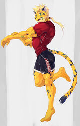  2021 abs anthro barefoot biceps black_bottomwear black_clothing black_shorts blonde_hair bottomwear cheetah clothing deltoids feet felid feline fur green_eyes hair kuron long_ponytail looking_at_viewer male mammal markings muscular muscular_anthro muscular_male on_one_leg pecs pike_(kuron) ponytail red_clothing red_shirt red_topwear shirt shorts solo spots spotted_body spotted_fur standing stretching topwear twunk wristband yellow_body yellow_fur 