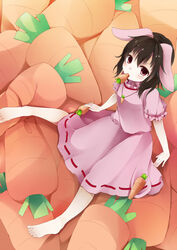  barefoot black_hair brown_eyes carrot carrot_necklace commentary_request dress female highres inaba_tewi jewelry looking_at_viewer mouth_hold necklace pendant pillow pink_dress puffy_sleeves ren_(hissorito.) ribbon-trimmed_clothes ribbon_trim short_sleeves solo touhou 