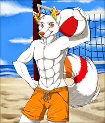  abs anthro athletic ball beach beach_ball biceps biped bottomwear canid canine canis clothed clothing cloud detailed_background fluffy fluffy_tail fur holding_ball holding_object inflatable looking_at_viewer male mammal muscular muscular_anthro net nighttwilightwolf orange_body orange_eyes orange_fur orange_nose outside pecs pool_toy pose red_body red_fur sand sea seaside shorts sky smile solo standing stripes swimming_trunks swimwear tail topless volleyball_net volskar water white_body white_fur wolf yellow_body yellow_fur 