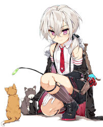  animal animal_on_back azur_lane bare_shoulders black_footwear black_jacket black_shorts cat_teaser closed_mouth collared_shirt commentary_request detached_sleeves feline female flat_chest fur_collar gloves grey_hair grey_socks hair_between_eyes hair_over_shoulder hand_on_own_thigh holding jacket kneehighs long_hair looking_down low_ponytail naha78 necktie no_eyes on_one_knee open_clothes open_jacket pink_eyes red_necktie shiny_skin shirt shoes shorts simple_background sleeveless sleeveless_shirt smile socks suspender_shorts suspenders tsurime white_background white_gloves white_shirt z1_leberecht_maass_(&quot;rebellious&quot;_top_student)_(azur_lane) z1_leberecht_maass_(azur_lane) 