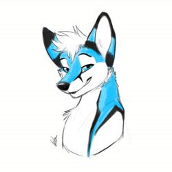  1:1 2016 blue_body blue_eyes blue_fur canid canine clothed clothing fox fur hair kwik_(artist) looking_at_viewer male mammal solo topless white_hair 