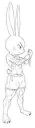  abs band-aid bandage biceps big_ears black_and_white bottomwear clothed clothing determined disney ducati ftm_crossgender hi_res judy_hopps lagomorph leporid line_art male mammal monochrome muscular muscular_male plantigrade rabbit rule_63 sagging shorts solo standing topless v-cut wraps zootopia 