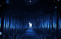  dark forest matsuki_(mikipingpong) night original tree 