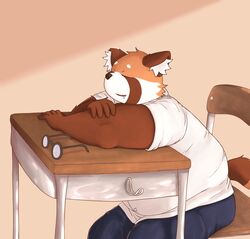  2022 ailurid anthro bari_mu bottomwear brown_body classroom closed_eyes clothing eyewear glasses hi_res kemono male mammal overweight overweight_male pants red_panda school shirt sitting solo topwear 