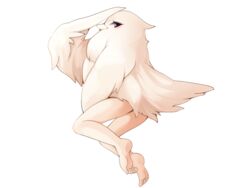  beak bird_tail bmp-to-png_conversion feathered_wings feathers feet female frfr full_body game_cg harpy looking_at_viewer mon-musu_quest! monster_girl non-web_source official_art pink_eyes pyhar_(mon-musu_quest!) reverse_harpy solo tail transparent_background white_feathers white_wings winged_arms wings 