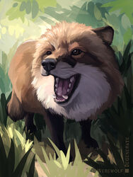  3:4 absurd_res ambiguous_gender artist_name black_nose brown_eyes canid canine digital_media_(artwork) digital_painting_(artwork) ears_back fangs feral fox front_view full-length_portrait fur grass hi_res leg_markings mammal markings multicolored_body multicolored_fur open_mouth outside pivoted_ears plant portrait red_body red_fox red_fur signature socks_(marking) solo standing teeth true_fox two_tone_body two_tone_fur werewolfdegenerate whiskers white_body white_chest white_fur 