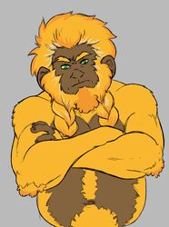  anthro beard biceps braided_beard callitrichid clothed clothing crossed_arms delicatessen digital_media_(artwork) facial_hair frown fur garland_(character) golden_lion_tamarin green_eyes half-length_portrait haplorhine hi_res lion_tamarin looking_at_viewer male mammal monkey musclegut muscular navel new_world_monkey portrait primate solo topless tuft yellow_body yellow_fur 