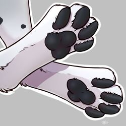  1:1 ambiguous_gender anthro black_pawpads canid canine digital_media_(artwork) feet foot_focus foot_shot kellwolfik mammal pawpads paws shaded simple_background solo 