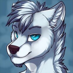  1:1 anthro black_nose blue_eyes canid canine digital_media_(artwork) facial_hair fur goatee headshot_portrait icon inner_ear_fluff kellwolfik looking_at_viewer male mammal portrait shaded signature simple_background smile solo tuft white_body white_fur 