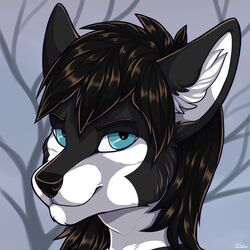  1:1 ambiguous_gender anthro black_body black_fur blue_eyes canid canine digital_media_(artwork) fur headshot_portrait icon kellwolfik looking_at_viewer male mammal portrait shaded simple_background smile solo white_body white_fur 