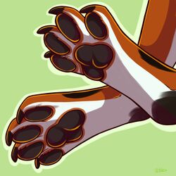  1:1 ambiguous_gender anthro canid canine claws digital_media_(artwork) feet foot_focus foot_shot fur kellwolfik mammal pawpads paws shaded simple_background solo 