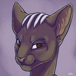  1:1 ambiguous_gender anthro brown_eyes cornrows dark_body dark_skin digital_media_(artwork) domestic_cat felid feline felis hairless hairless_cat half-closed_eyes headshot_portrait icon kellwolfik looking_at_viewer mammal narrowed_eyes portrait reyth shaded simple_background solo sphynx_(cat) 