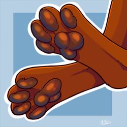  1:1 ambiguous_gender anthro blue_background brown_pawpads canid canine digital_media_(artwork) feet foot_shot kellwolfik mammal pawpads paws shaded simple_background solo 