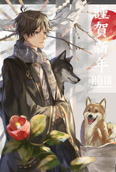  1boy animal black_hair brown_eyes canine commentary_request flower grey_background grey_scarf highres japanese_clothes long_sleeves looking_away male_focus multicolored_background original red_flower rising_sun_flag scarf shiba_inu solo sunburst tsugutoku white_background wolf 