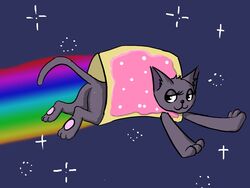  4:3 ass black_nose domestic_cat eyelashes felid feline felis female feral flying food food_creature fur grey_body grey_fur hi_res hybrid mammal meme nyan_cat nyan_cat_(copyright) pawpads paws pink_pawpads pop-tarts poptart_cat poptart_creature quadruped rainbow rainbow_trail sky solo space star starry_sky third-party_edit wasajoke 