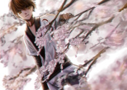  1boy alternate_costume branch brown_eyes brown_hair cherry_blossoms commentary_request dutch_angle flower japanese_clothes li_&quot;xiaolang&quot; male_focus obi partial_commentary photoshop_(medium) pink_flower sash solo spring_(season) tree tsubasa_chronicle z26261780 