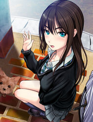  aqua_eyes black_cardigan blush brown_hair canine cardigan commentary_request denson female hanako_(idolmaster) highres idolmaster idolmaster_cinderella_girls jewelry long_hair looking_at_viewer necklace necktie school_uniform shibuya_rin solo 