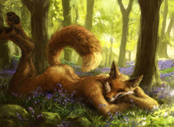  2015 4_toes ambiguous_gender anthro ass biped black_lips black_nose black_pawpads brown_body brown_fur canid canine closed_eyes detailed detailed_background digital_media_(artwork) digital_painting_(artwork) digitigrade feet flower fluffy fluffy_tail forest fox full-length_portrait fur gloves_(marking) grass hax_(artist) hindpaw inner_ear_fluff kenket leg_markings lips lofi long_mouth lying mammal markings nature nude on_front orange_body orange_fur outside pawpads paws plant portrait raised_tail red_fox shadow side_view sleeping smile snout socks_(marking) solo tail toes tree true_fox tuft whiskers white_body white_fur 