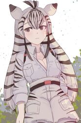  ancolatte_(onikuanco) animal_ears animal_print backlighting bad_id bad_twitter_id belt black_hair blush breast_pocket breasts chapman&#039;s_zebra_(kemono_friends) cleavage commentary cowboy_shot dappled_sunlight female high-waist_shorts kemono_friends long_hair multicolored_hair outdoors pocket shorts sidelocks solo striped_hair sunlight white_hair zebra_ears zebra_print 