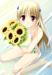  absurdres beach bikini blonde_hair bouquet clarissa_satsuki_maezono female flower hair_ribbon highres honeycoming_royalsweet long_hair matsushita_makako ocean outdoors pink_eyes ribbon side-tie_bikini_bottom sitting smile solo sunflower swimsuit wariza water white_bikini 