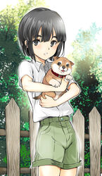  1boy black_eyes black_hair canine coin_rand collar commentary_request cowboy_shot day fence green_shorts highres holding looking_at_viewer looking_up male_focus original outdoors parted_lips puppy shiba_inu short_hair shorts standing thick_eyebrows 