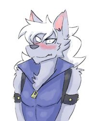  ambiguous_gender anthro avoid_posting blue_clothing blue_topwear blue_vest blush canid canine canis clothed clothing doopcity embarrassed fluffy fur grey_body grey_fur hair hi_res long_hair male mammal pretty_cure reaction_image topwear vest white_hair wolf wolfrun zipper 